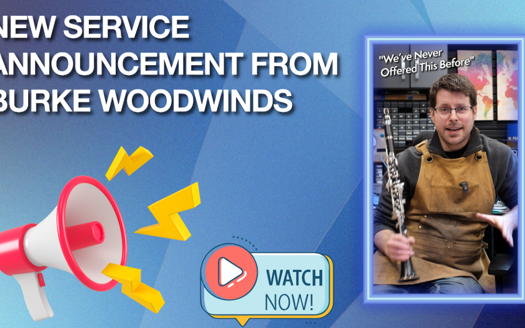 Bridging Performance and Repair